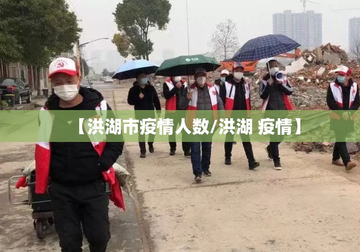 【洪湖市疫情人数/洪湖 疫情】 【洪湖市疫情人数/洪湖 疫情】