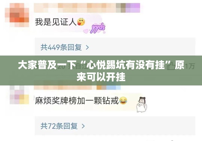 大家普及一下“心悦踢坑有没有挂”原来可以开挂