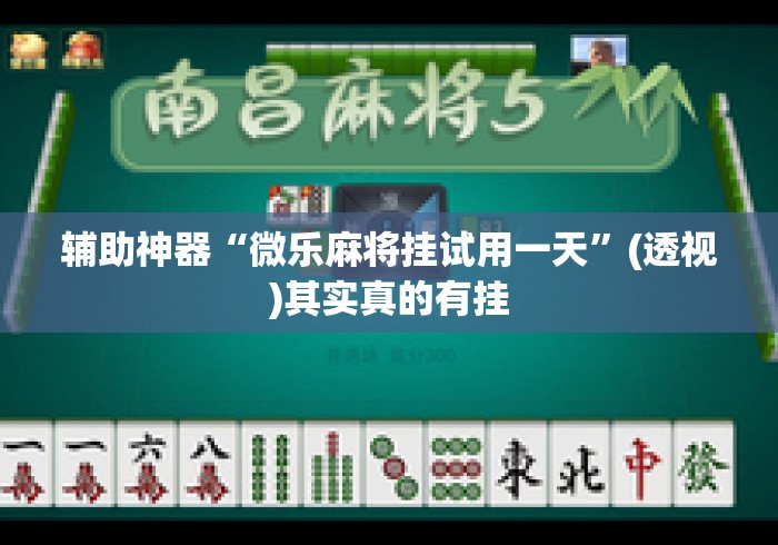 辅助神器“微乐麻将挂试用一天”(透视)其实真的有挂