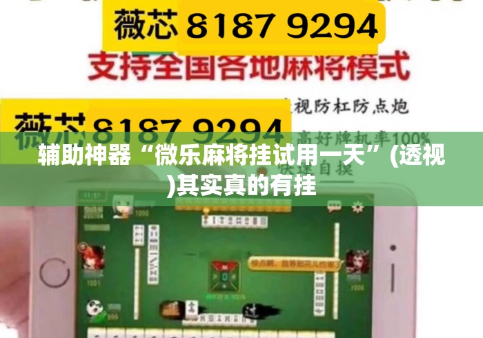 辅助神器“微乐麻将挂试用一天”(透视)其实真的有挂