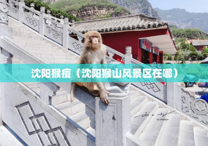 沈阳猴痘(沈阳猴山风景区在哪) 沈阳猴痘(沈阳猴山风景区在哪)