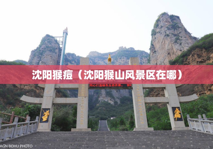 沈阳猴痘(沈阳猴山风景区在哪) 沈阳猴痘(沈阳猴山风景区在哪)