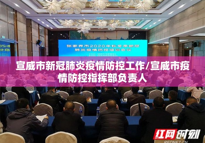 宣威市新冠肺炎疫情防控工作/宣威市疫情防控指挥部负责人 宣威市新冠肺炎疫情防控工作/宣威市疫情防控指挥部负责人
