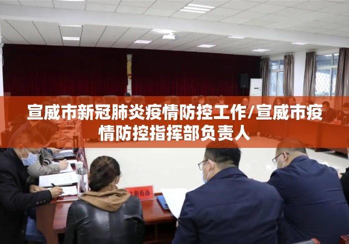 宣威市新冠肺炎疫情防控工作/宣威市疫情防控指挥部负责人 宣威市新冠肺炎疫情防控工作/宣威市疫情防控指挥部负责人