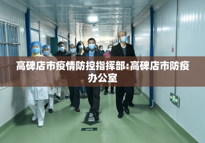 高碑店市疫情防控指挥部:高碑店市防疫办公室