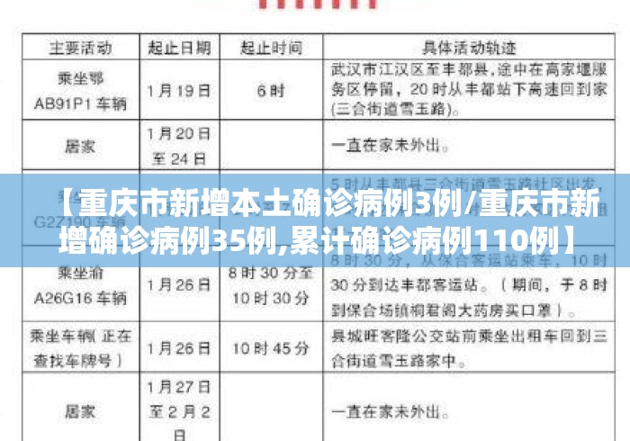 【重庆市新增本土确诊病例3例/重庆市新增确诊病例35例,累计确诊病例110例】