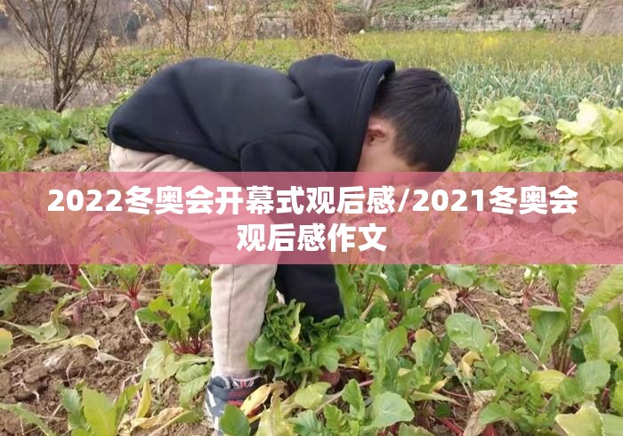 2022冬奥会开幕式观后感/2021冬奥会观后感作文