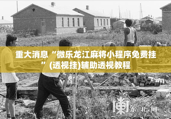 重大消息“微乐龙江麻将小程序免费挂”(透视挂)辅助透视教程