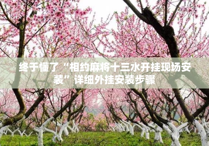 终于懂了“相约麻将十三水开挂现场安装”详细外挂安装步骤