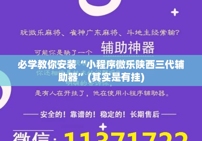 必学教你安装“小程序微乐陕西三代辅助器”(其实是有挂)