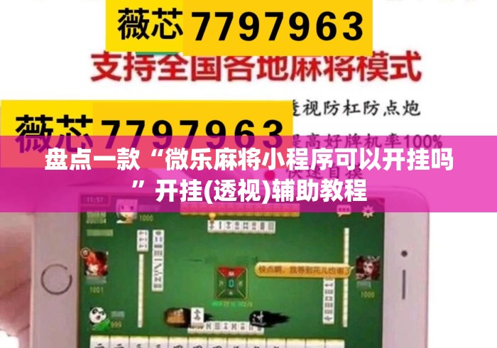 盘点一款“微乐麻将小程序可以开挂吗”开挂(透视)辅助教程