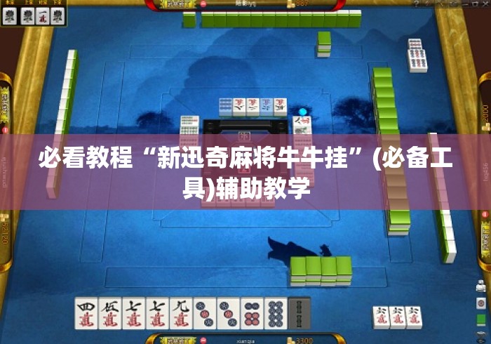 必看教程“新迅奇麻将牛牛挂”(必备工具)辅助教学