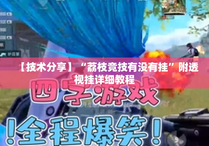 【技术分享】“荔枝竞技有没有挂”附透视挂详细教程
