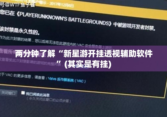 两分钟了解“新星游开挂透视辅助软件”(其实是有挂)