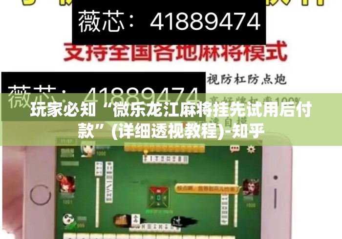 玩家必知“微乐龙江麻将挂先试用后付款”(详细透视教程)-知乎