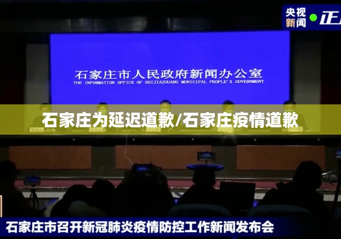 石家庄为延迟道歉/石家庄疫情道歉
