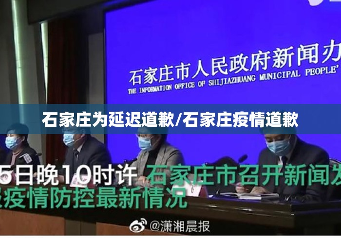 石家庄为延迟道歉/石家庄疫情道歉