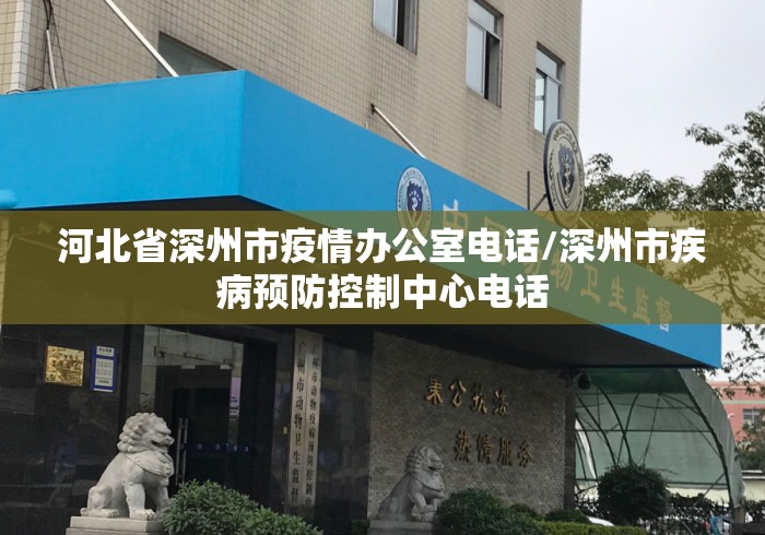 河北省深州市疫情办公室电话/深州市疾病预防控制中心电话 河北省深州市疫情办公室电话/深州市疾病预防控制中心电话