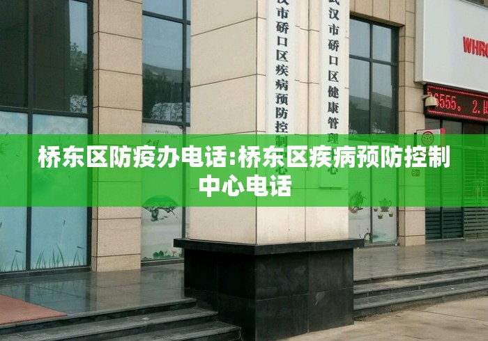 桥东区防疫办电话:桥东区疾病预防控制中心电话 桥东区防疫办电话:桥东区疾病预防控制中心电话