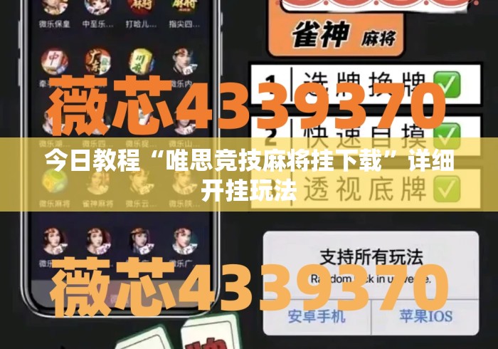 今日教程“唯思竞技麻将挂下载”详细开挂玩法