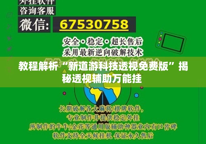 教程解析“新道游科技透视免费版”揭秘透视辅助万能挂 