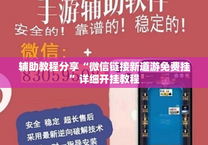 辅助教程分享“微信链接新道游免费挂”详细开挂教程