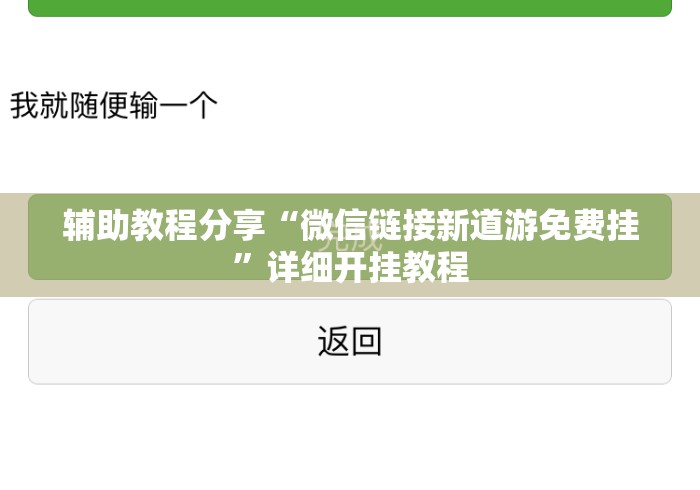 辅助教程分享“微信链接新道游免费挂”详细开挂教程