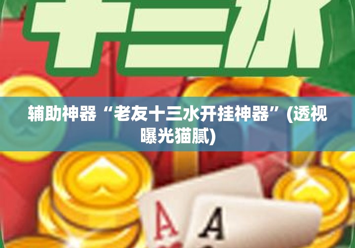 辅助神器“老友十三水开挂神器”(透视曝光猫腻)