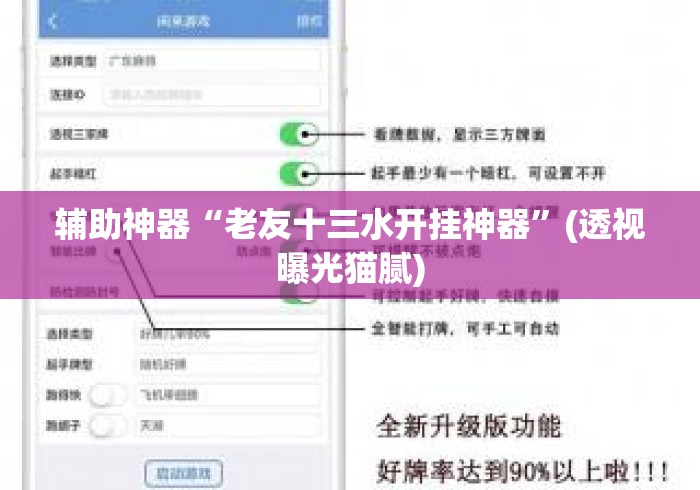 辅助神器“老友十三水开挂神器”(透视曝光猫腻)