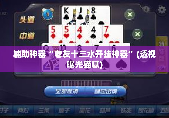 辅助神器“老友十三水开挂神器	”(透视曝光猫腻)