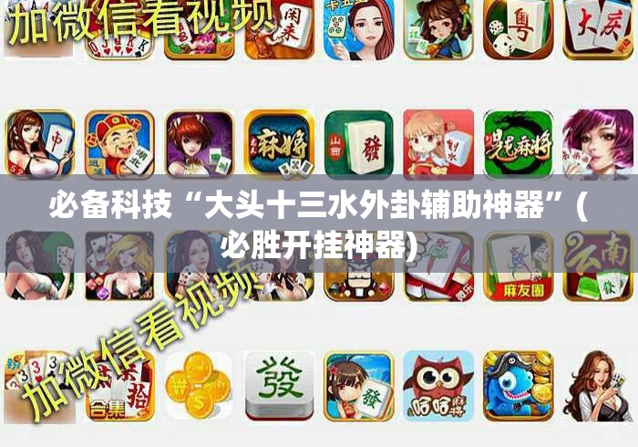 必备科技“大头十三水外卦辅助神器”(必胜开挂神器)