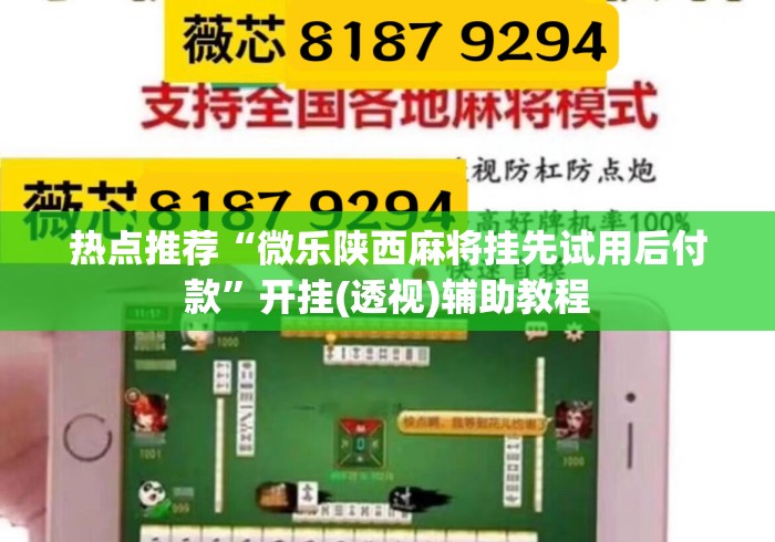 热点推荐“微乐陕西麻将挂先试用后付款”开挂(透视)辅助教程