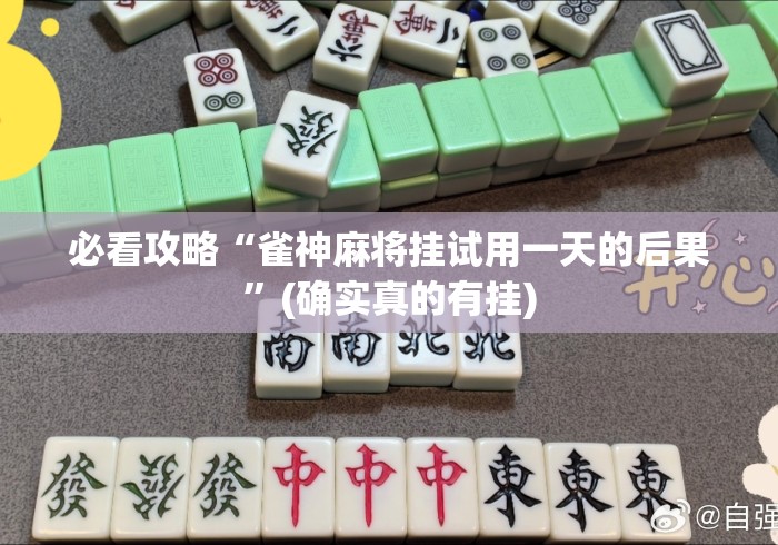 必看攻略“雀神麻将挂试用一天的后果”(确实真的有挂)