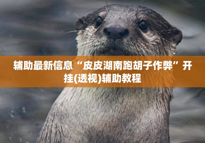 辅助最新信息“皮皮湖南跑胡子作弊”开挂(透视)辅助教程