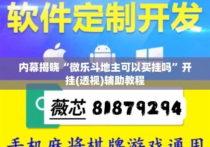 内幕揭晓“微乐斗地主可以买挂吗”开挂(透视)辅助教程