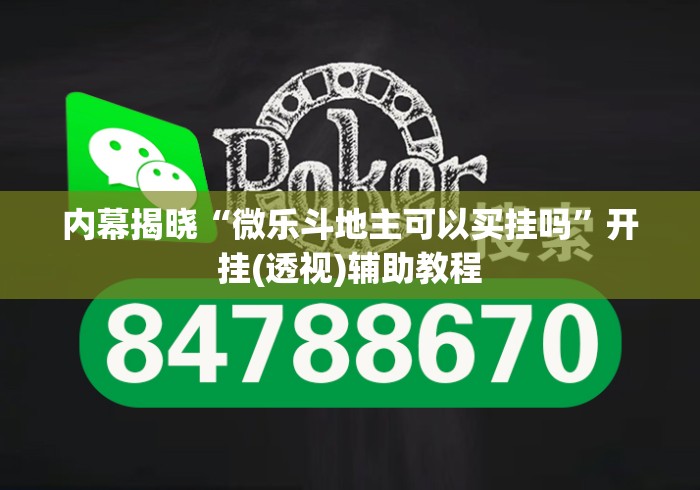 内幕揭晓“微乐斗地主可以买挂吗	”开挂(透视)辅助教程