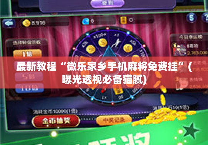 最新教程“微乐家乡手机麻将免费挂”(曝光透视必备猫腻)