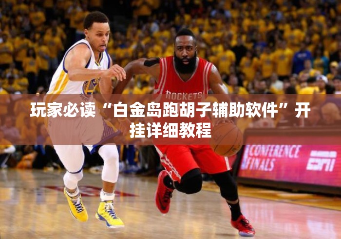 玩家必读“白金岛跑胡子辅助软件”开挂详细教程