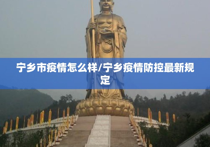 宁乡市疫情怎么样/宁乡疫情防控最新规定 宁乡市疫情怎么样/宁乡疫情防控最新规定