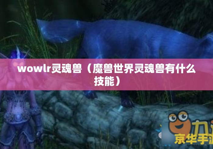 wowlr灵魂兽(魔兽世界灵魂兽有什么技能) wowlr灵魂兽(魔兽世界灵魂兽有什么技能)