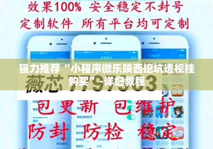 强力推荐“小程序微乐陕西挖坑透视挂购买”-详细教程