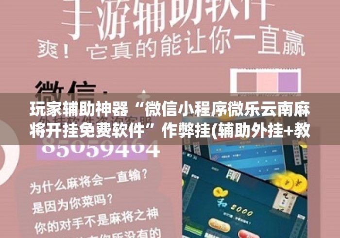 玩家辅助神器“微信小程序微乐云南麻将开挂免费软件	”作弊挂(辅助外挂+教程)