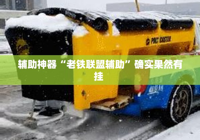辅助神器“老铁联盟辅助	”确实果然有挂 