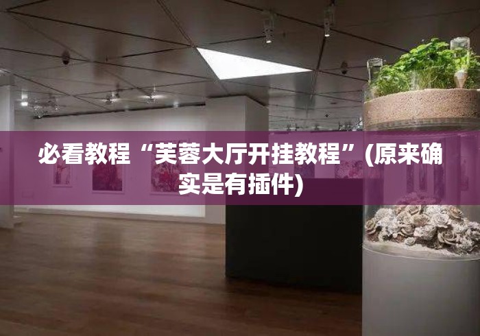 必看教程“芙蓉大厅开挂教程”(原来确实是有插件)