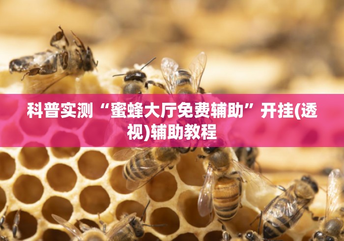 科普实测“蜜蜂大厅免费辅助”开挂(透视)辅助教程