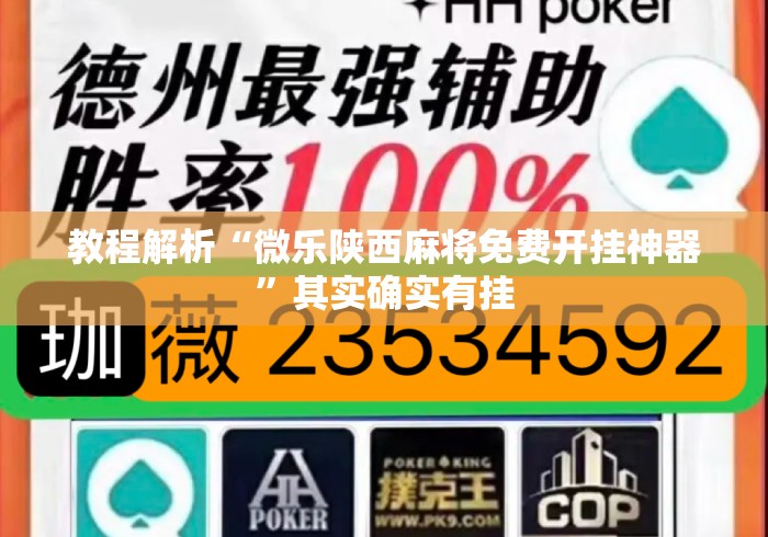 教程解析“微乐陕西麻将免费开挂神器”其实确实有挂