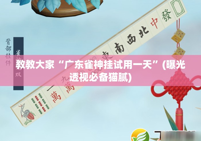 教教大家“广东雀神挂试用一天	”(曝光透视必备猫腻)