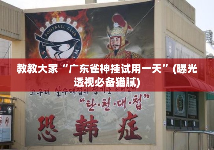 教教大家“广东雀神挂试用一天”(曝光透视必备猫腻)