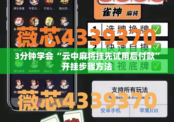 3分钟学会“云中麻将挂先试用后付款”开挂步骤方法