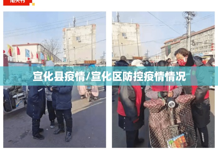 宣化县疫情/宣化区防控疫情情况 宣化县疫情/宣化区防控疫情情况